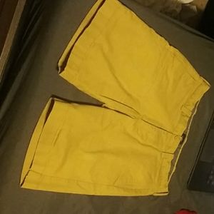 Khaki shorts